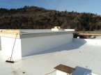 8050_Roof.02.jpg