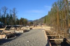 8050 Footings_1.3.jpg